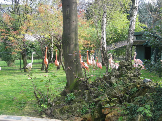 menagerie_02