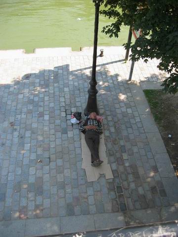pendant ce temps l, certains font tranquillement la sieste !